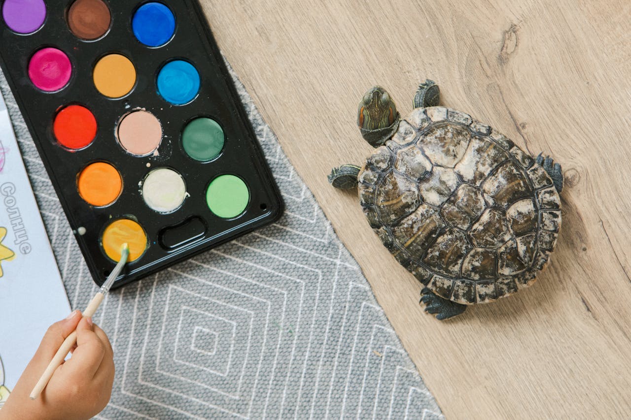 services-01 A turtle on a wooden floor beside a child painting with watercolors.